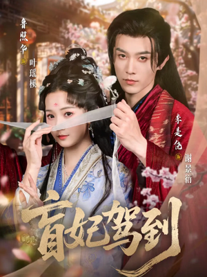 盲妃驾到（65集）短视频追剧推荐