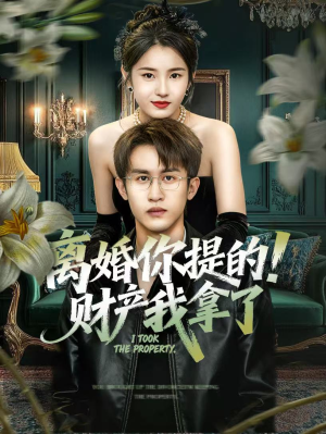 离婚你提的！财产我拿了（63集）深深爱上这部剧