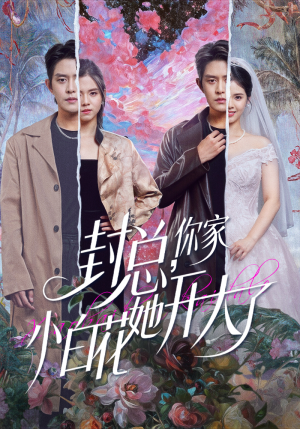 封总,你家小白花她开大了(60集) 封总,你家小白花她开大了(60集)精彩短剧来了