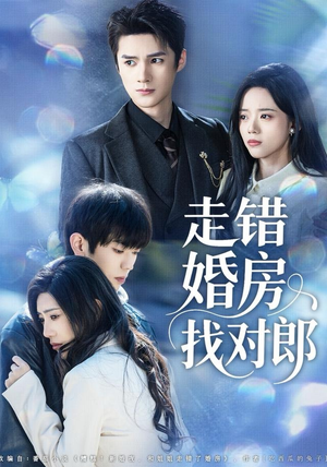 走错婚房找对郎(50集) 走错婚房找对郎(50集)最新热播短剧