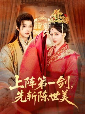 上阵第一剑先斩陈世美（63集）一共多少集