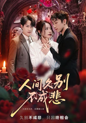 人间久别不成悲（80集）排行榜前十短剧