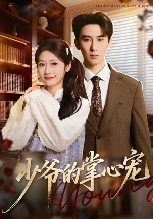 少爷的掌心宠（80集）精彩不断免费看