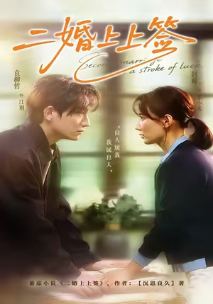 二婚上上签（71集）免费短剧资源