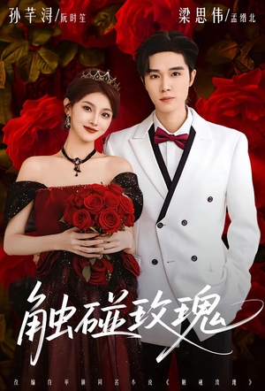 触碰玫瑰（80集）去哪里看