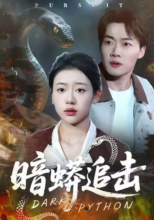 暗蟒追击（35集）短剧排行榜