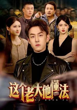 这个老大他懂法（100集）短剧完整版免费