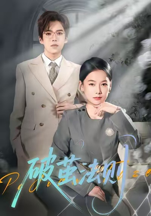 破茧法则（66集）精彩连连免费看