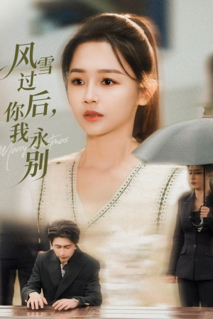 风雪过后你我永别（51集）全集免费