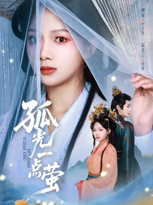 孤光一点萤(60集) 孤光一点萤(60集)第二季