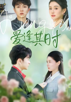 爱逢其时（47集）红果短剧看全集