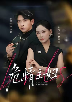 危情主妇（60集）免费短剧资源