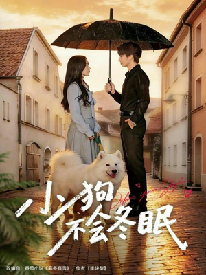 小狗不会冬眠（70集）经典回顾免费看