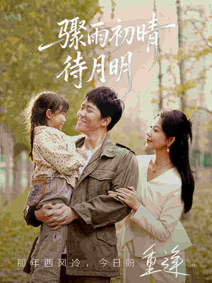 骤雨初晴待月明（71集）短剧排行榜
