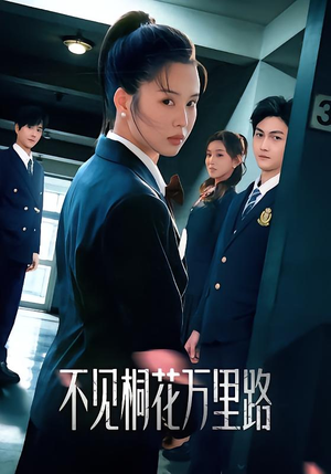 不见桐花万里路（71集）口碑之选免费看