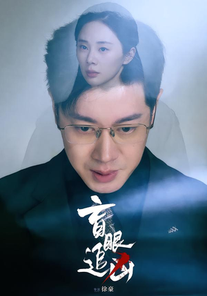 盲眼追凶（60集）精彩好看短剧