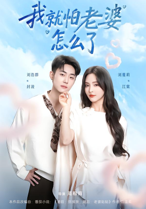 我就怕老婆怎么了(88集) 我就怕老婆怎么了(88集)短剧中追到爽