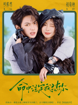 命中注定我怼你（79集）观看软件