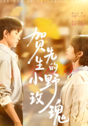 贺先生的小野玫瑰（99集）短剧有好货推荐