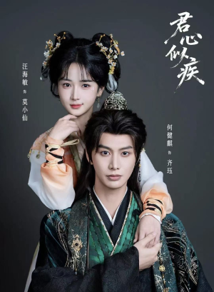 君心似疾（80集）在哪看
