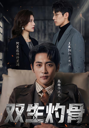 双生灼骨(60集) 双生灼骨(60集)精彩短剧看不停