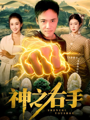 神之右手（100集）百度在线观看