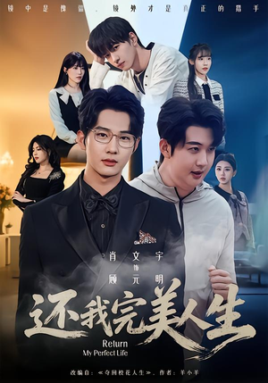 还我完美人生（73集）好看的短剧电影