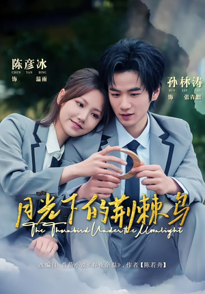 月光下的荆棘鸟(80集) 月光下的荆棘鸟(80集)短剧片段分享