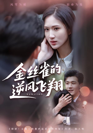 金丝雀的逆风飞翔（80集）好看短剧推荐