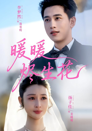 暖暖烬生花（65集）直接看到大结局