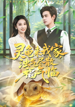 灵龟来我家，浊气尽散福气临（78集）精彩短剧分享