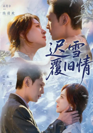 迟雪覆旧情（62集）看到了大结局