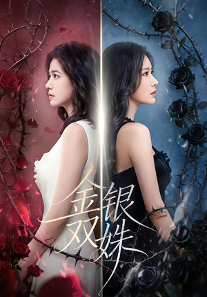 金银双姝（80集）短剧在线更新