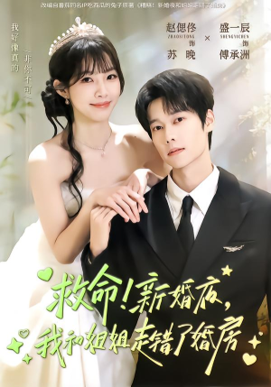 救命！新婚夜，我和姐姐走错了婚房（58集）在线播放