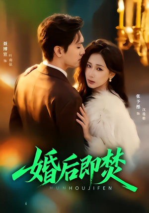 婚后即焚（77集）夸克在线观看