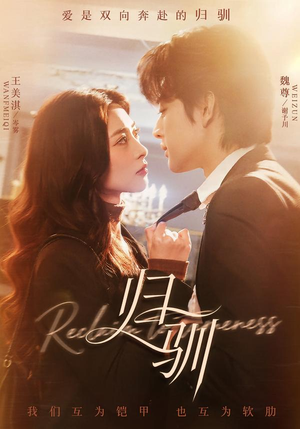 归驯（82集）热门了短剧