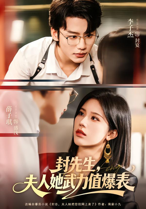 封先生，夫人她武力值爆表（70集）演员表