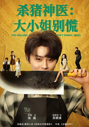 杀猪神医，大小姐别慌（80集）一口气看完全集