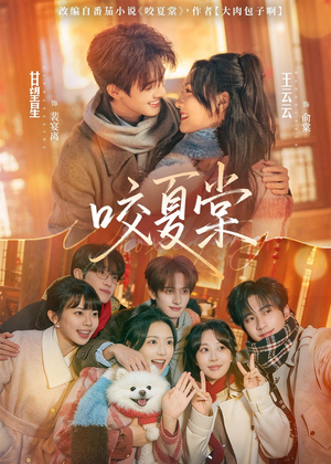 咬夏棠（67集）爆火短剧追不停