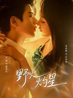 野火灼星（56集）爱短剧爱追剧