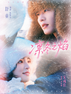 凛冬之焰（80集）火爆短剧热播中