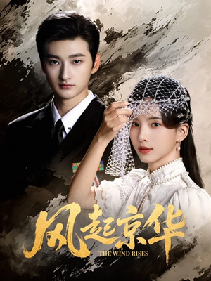 风Q京华（60集）看短剧放松一下