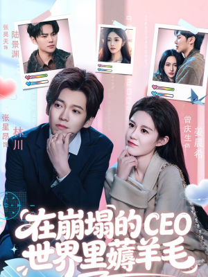 在崩塌的CEO世界里薅羊毛（70集）精彩不断免费看