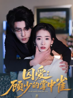 囚爱：顾少的掌中雀（70集）分享好看短剧