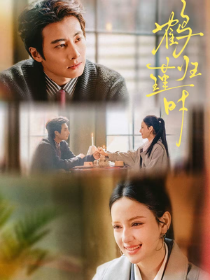 鹤归瑾时（81集）精彩短剧来袭