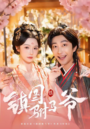 镇国驸马爷（92集）超好看的短剧