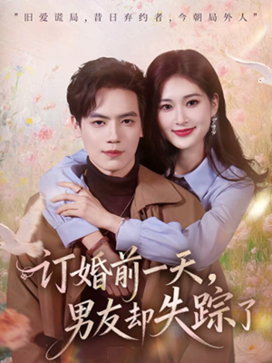 订婚前一天，男友却失踪了（60集）精彩短剧追不停