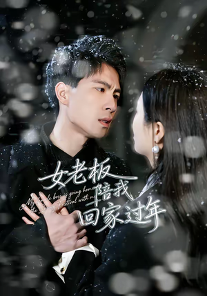 女老板陪我回家过年（40集）免费短剧看全集