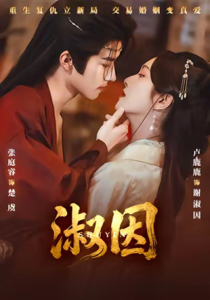 淑因（65集）精彩好看的短剧