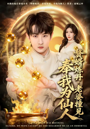 赘婿炼丹,老婆撞见,奉我为仙人(59集) 赘婿炼丹,老婆撞见,奉我为仙人(59集)经典回顾免费看